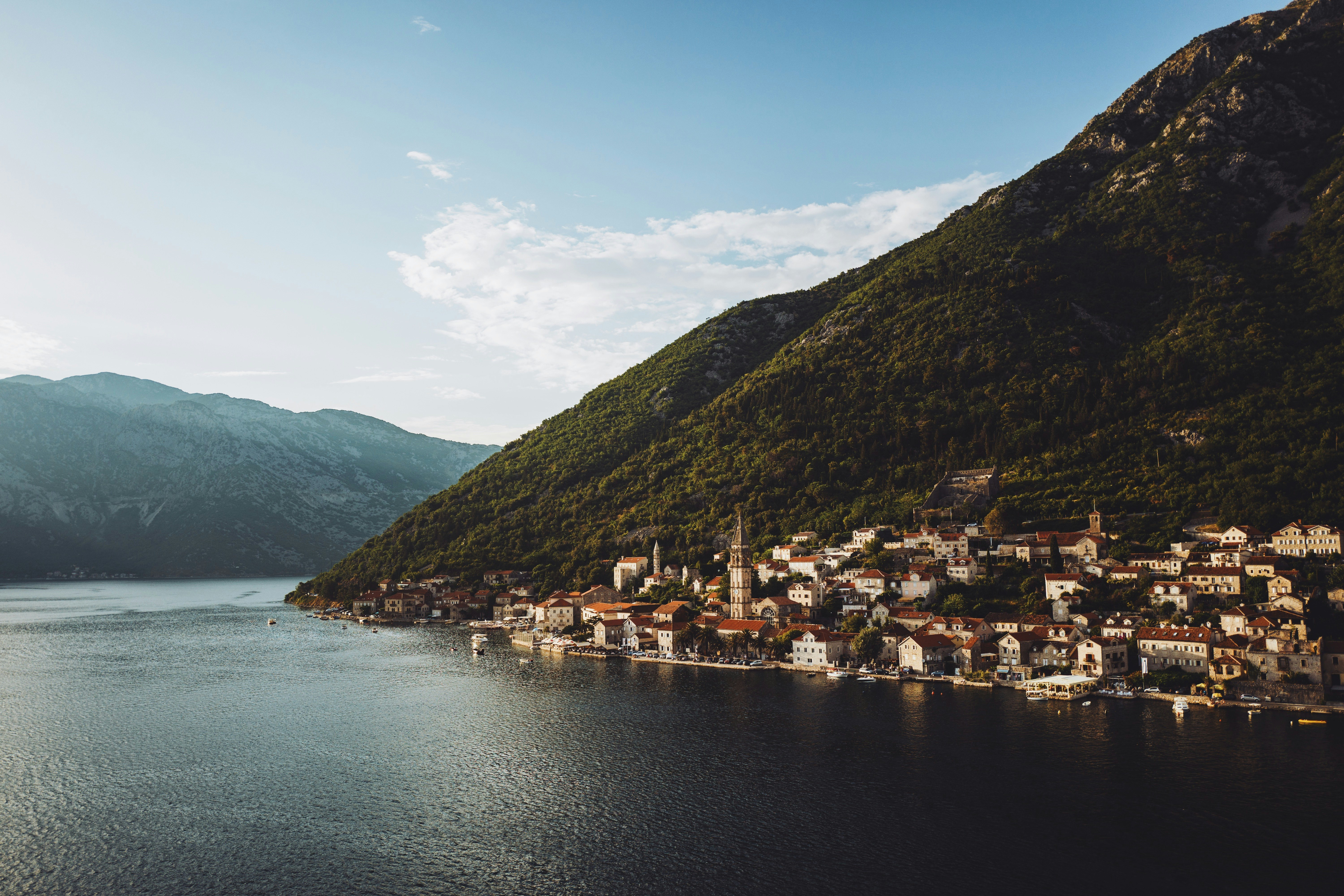 bird's eye view of houses beside body of water